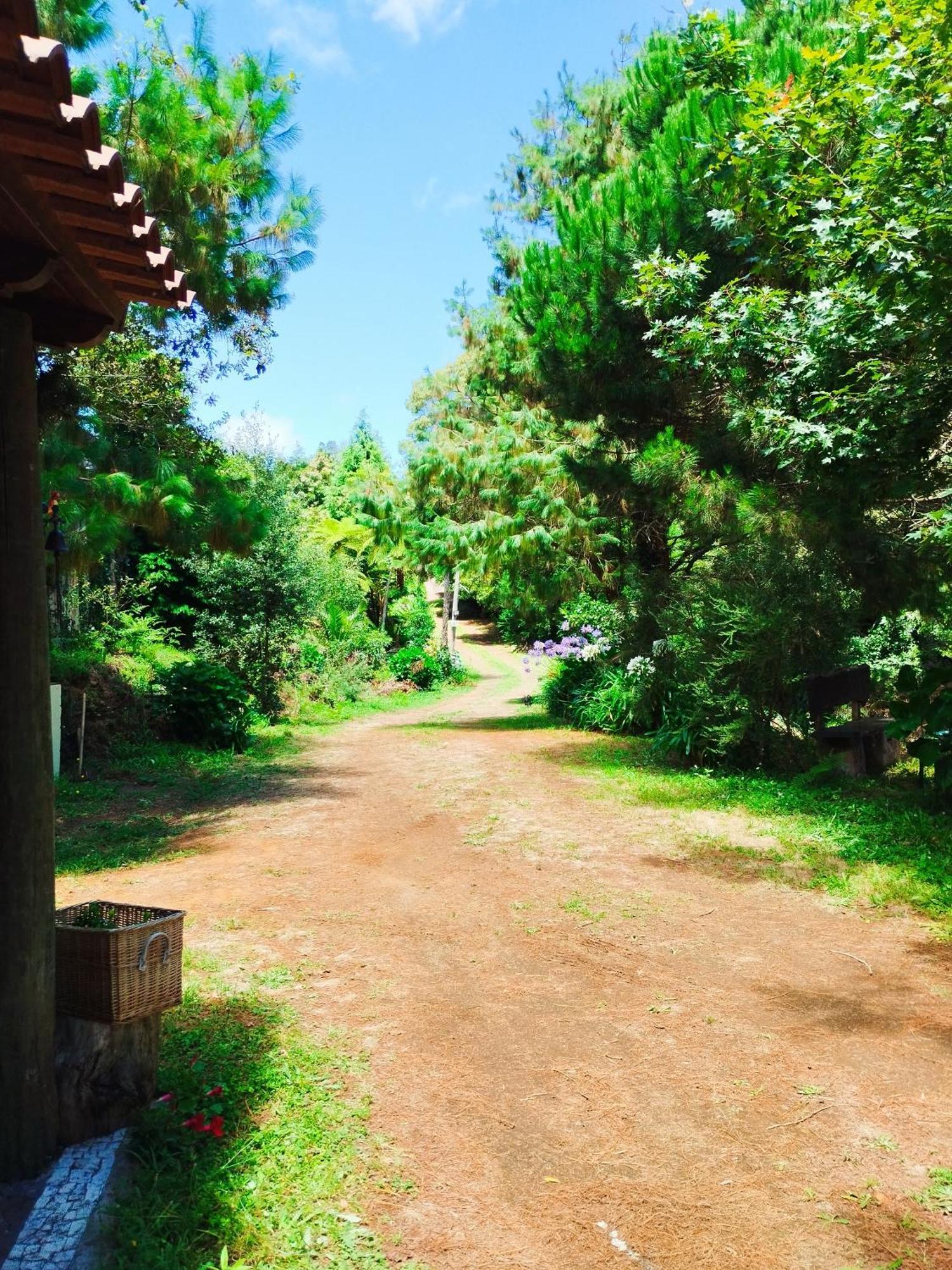 Villa Quinta Meneses Santa Cruz  Exterior foto